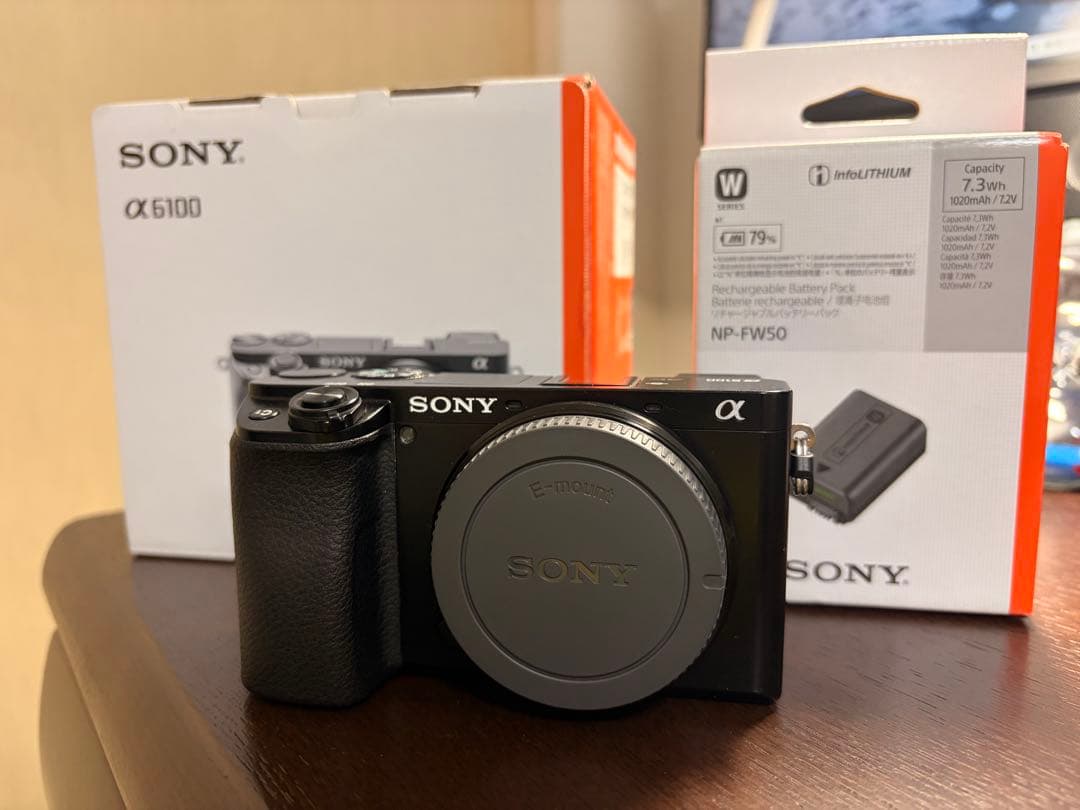 SONY α6100 ミラーレスカメラ 本体のみ (予備バッテリー付き)