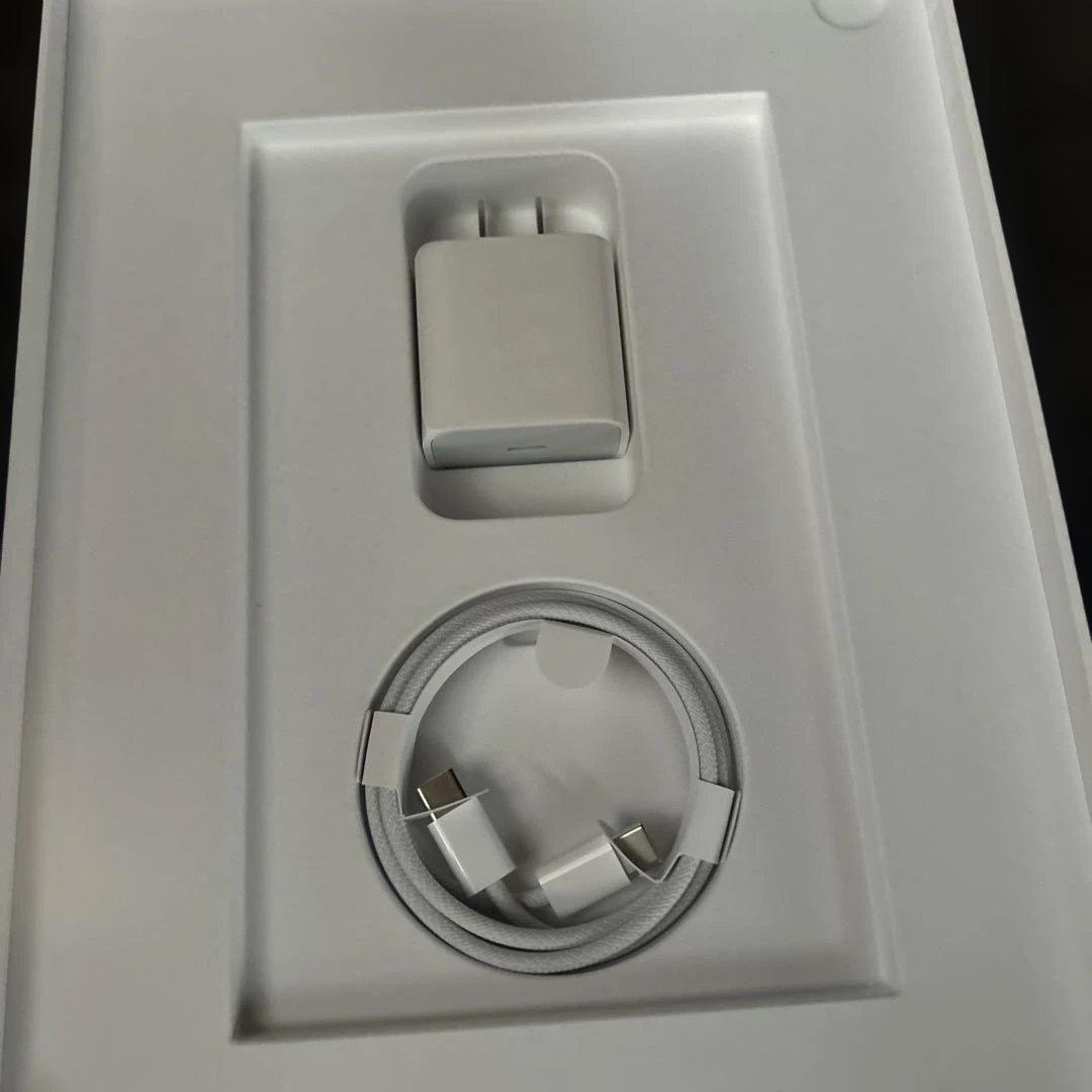 Apple iPad 第10世代 10.2インチ 本体