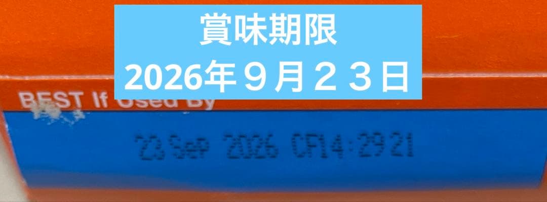 ＊追加＊P12Rアカウント