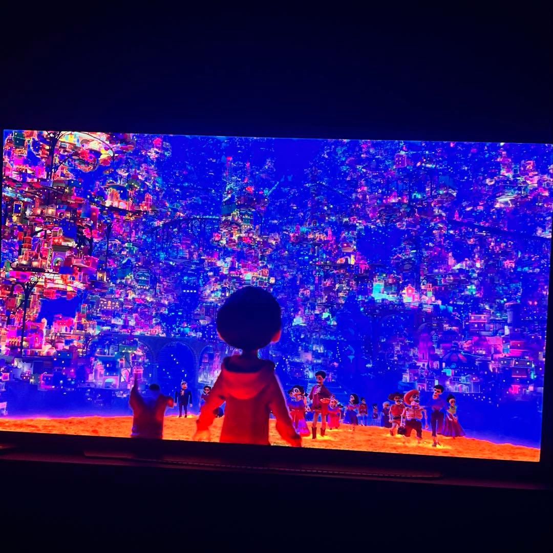 ◇LG OLED65C9PJA 65インチ テレビ◇