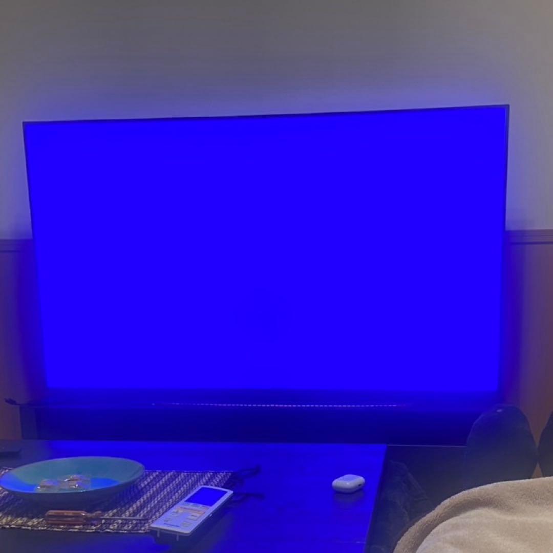 ◇LG OLED65C9PJA 65インチ テレビ◇