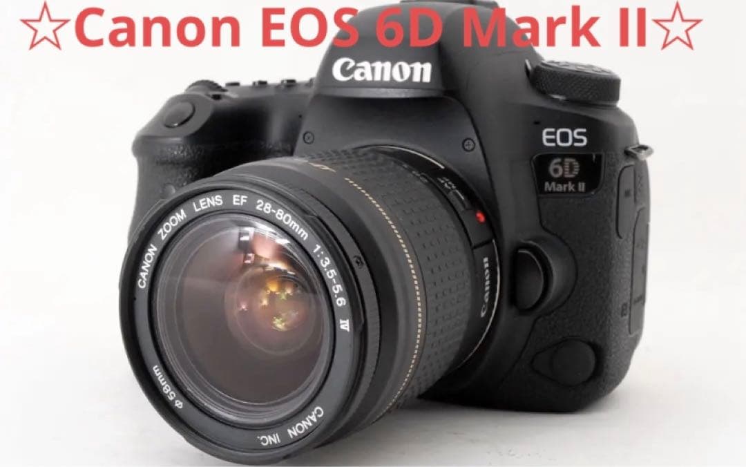 キヤノン　Canon EOS 6D Mark II 標準レンズセット