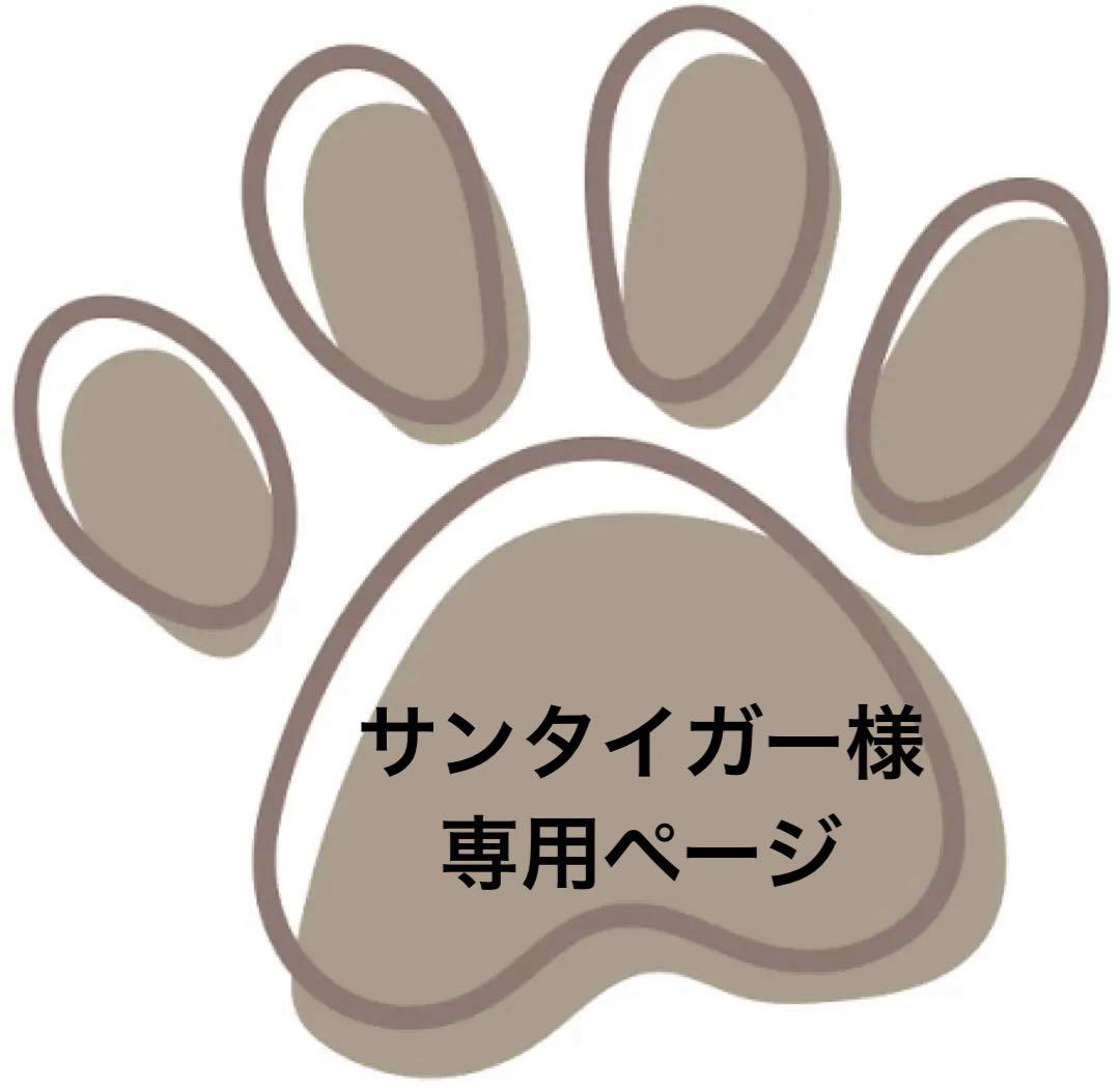 ✨️美品✨️Zequeスポーツサングラス ブラック