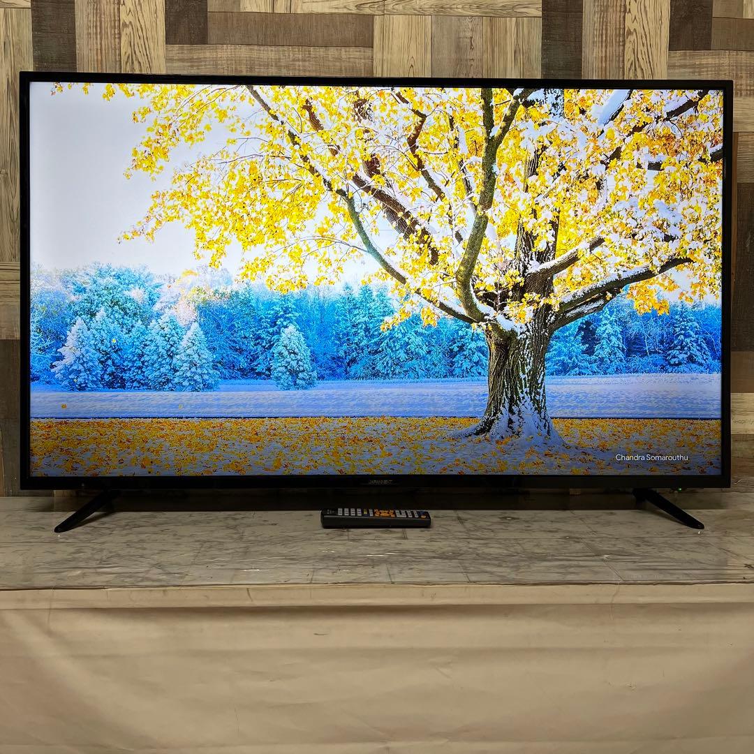 即日受渡❣️全国送料込ジャパンネクスト55V型4K目に優しいブルー軽減スピーカー