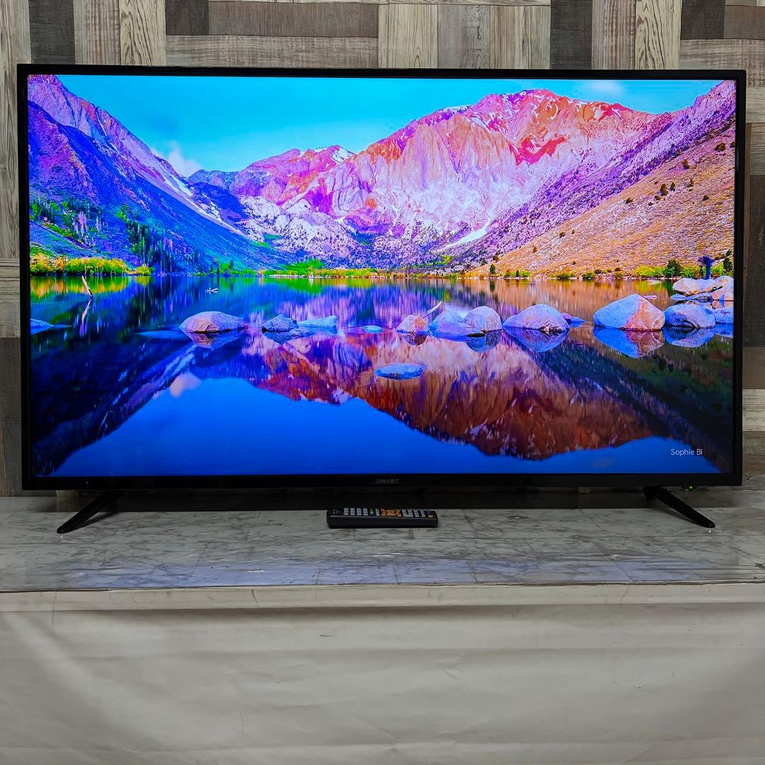 即日受渡❣️全国送料込ジャパンネクスト55V型4K目に優しいブルー軽減スピーカー