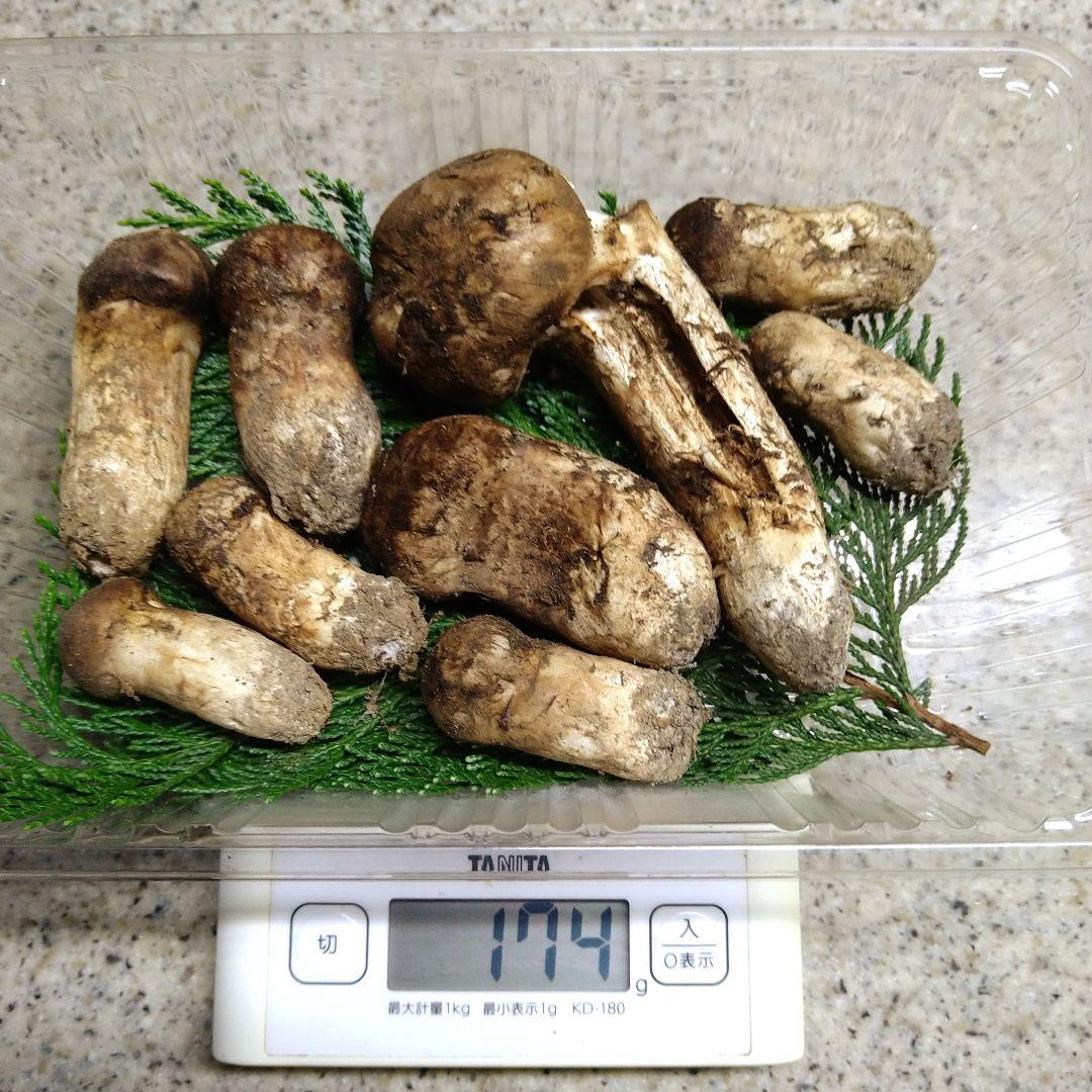 南信州産松茸約１７４g（パック込み）
