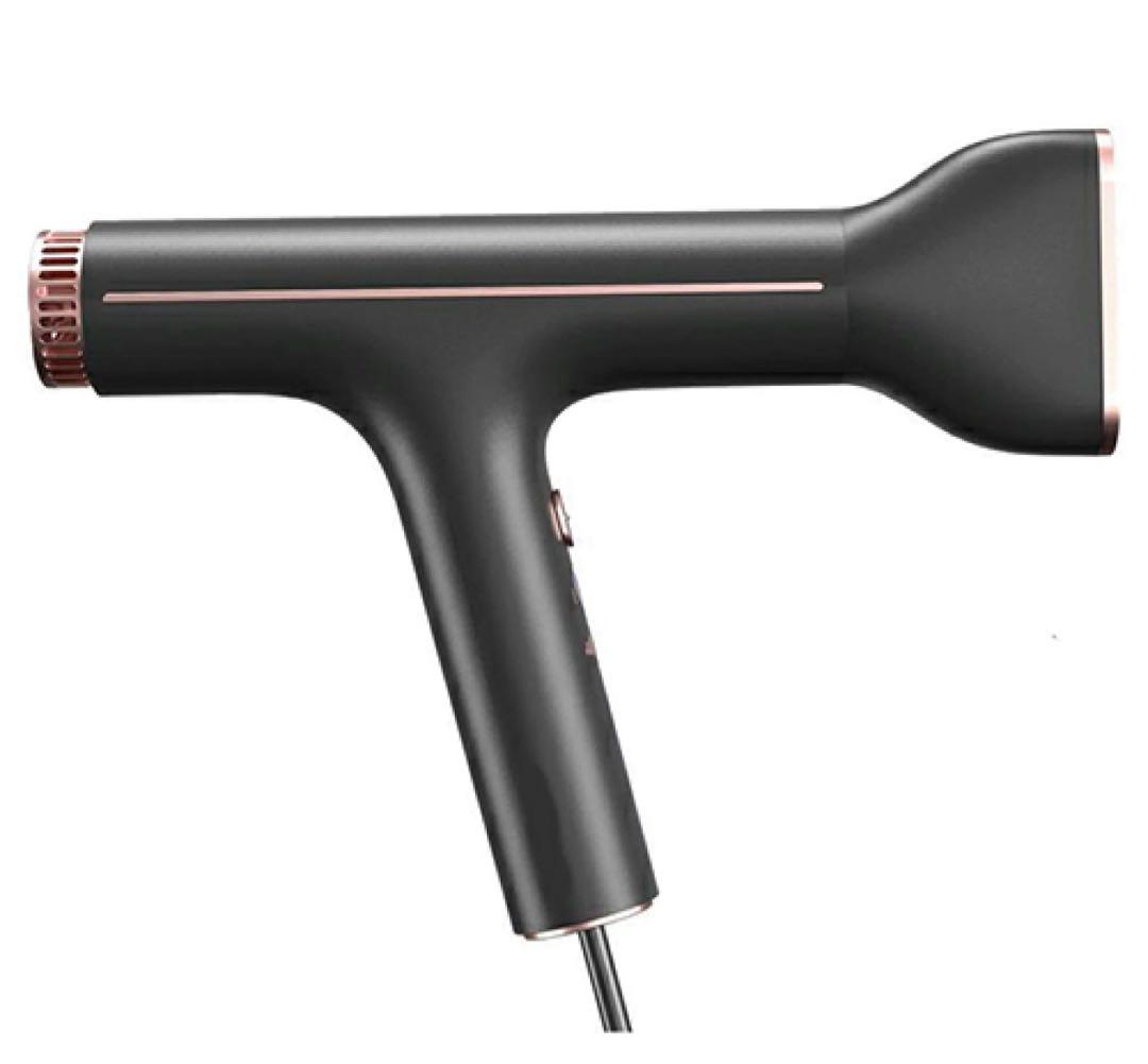 ウォーターイオンヘアドライヤー コンパクト BLDCモータ最大風量 AX-HD1