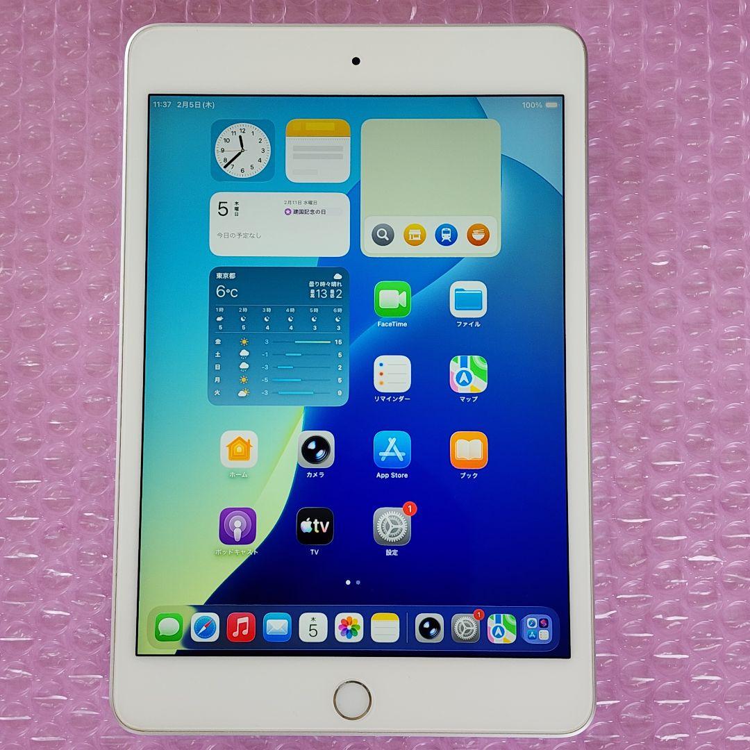 超美品　iPad mini 第5世代　バッテリー良好　Wi-Fiモデル