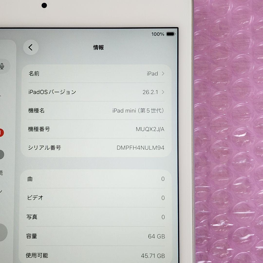 超美品　iPad mini 第5世代　バッテリー良好　Wi-Fiモデル