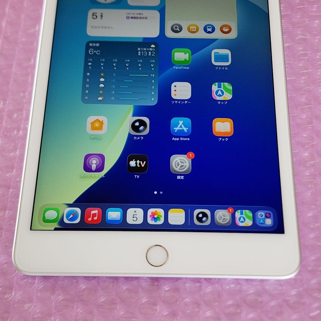 超美品　iPad mini 第5世代　バッテリー良好　Wi-Fiモデル