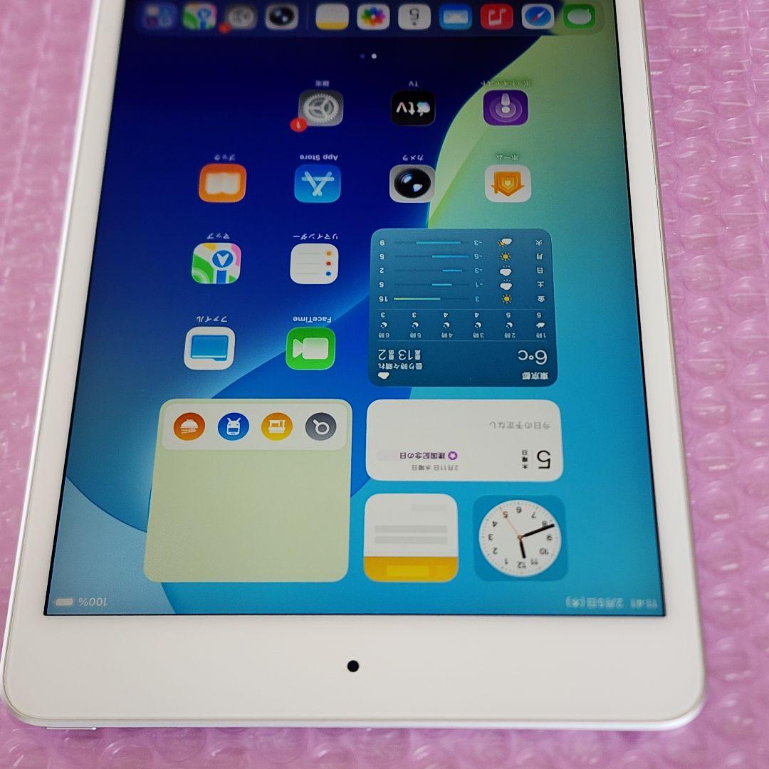 超美品　iPad mini 第5世代　バッテリー良好　Wi-Fiモデル