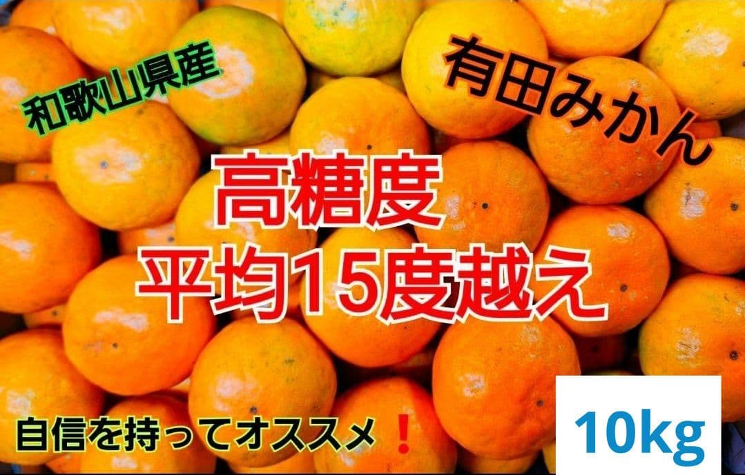 和歌山県有田産　平均糖度15度越え❗宮川早生　10kg　みかんキング　数量限定
