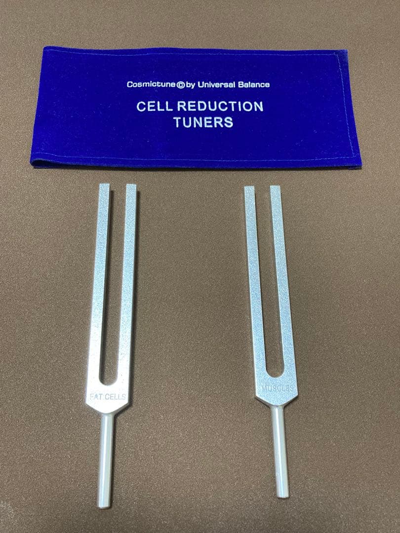 音叉　ヒーリング　セルリダクション　増川いづみ