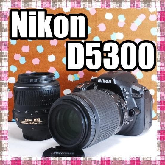 ✨美品✨Wi-Fi搭載機種✨Nikon D5300 ダブルレンズセット