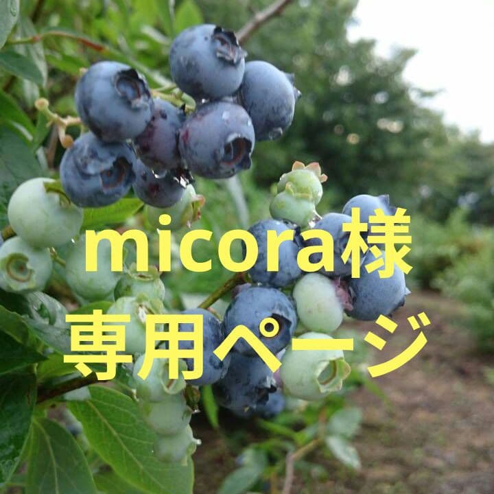 micora様★専用ページ