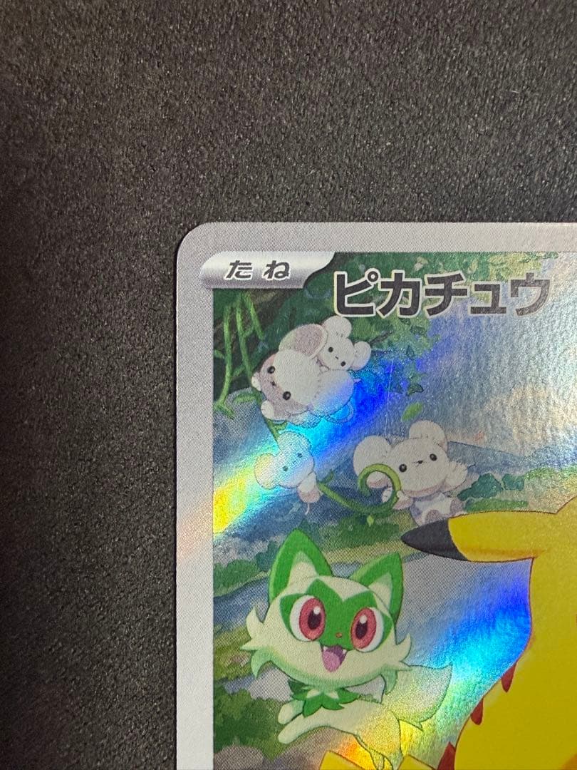 ピカチュウ：ポケカの夏がキタ！プロモカードGetキャンペーン！ 2枚セット