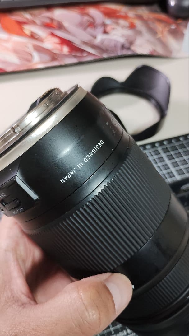 Tamron 18-400mm F/3.5-6.3 Di II＋高級フィルター