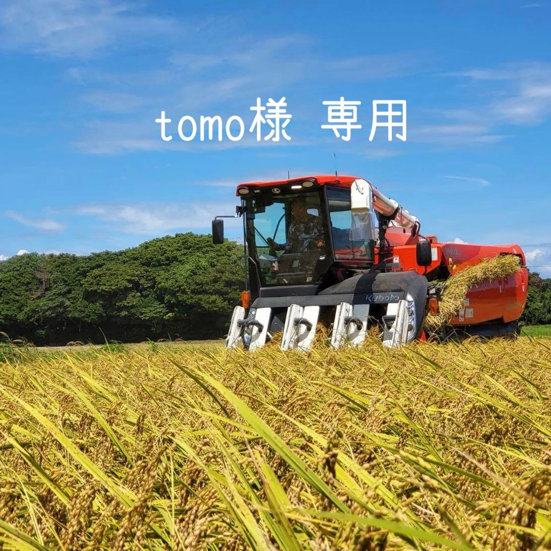 tomo ミルキー 白20