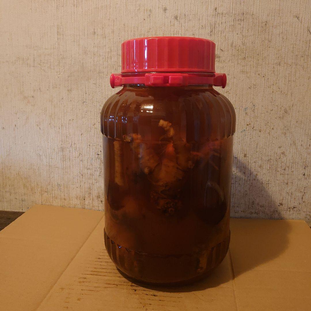 奈良県吉野山系吉野の天然物ツルニンジン酒5Ｌ ツルニンジン酒5Ｌ入り