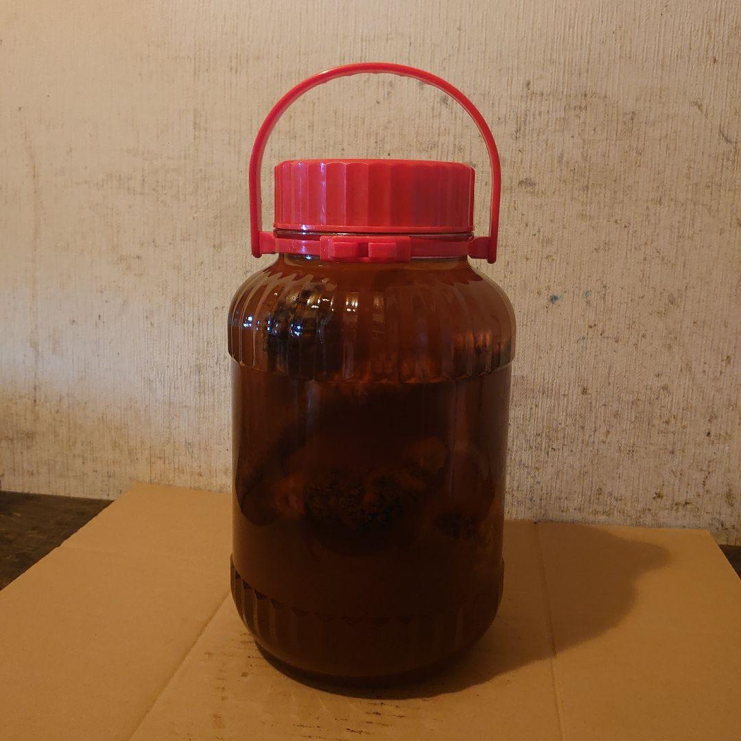 奈良県吉野山系吉野の天然物ツルニンジン酒5Ｌ ツルニンジン酒5Ｌ入り