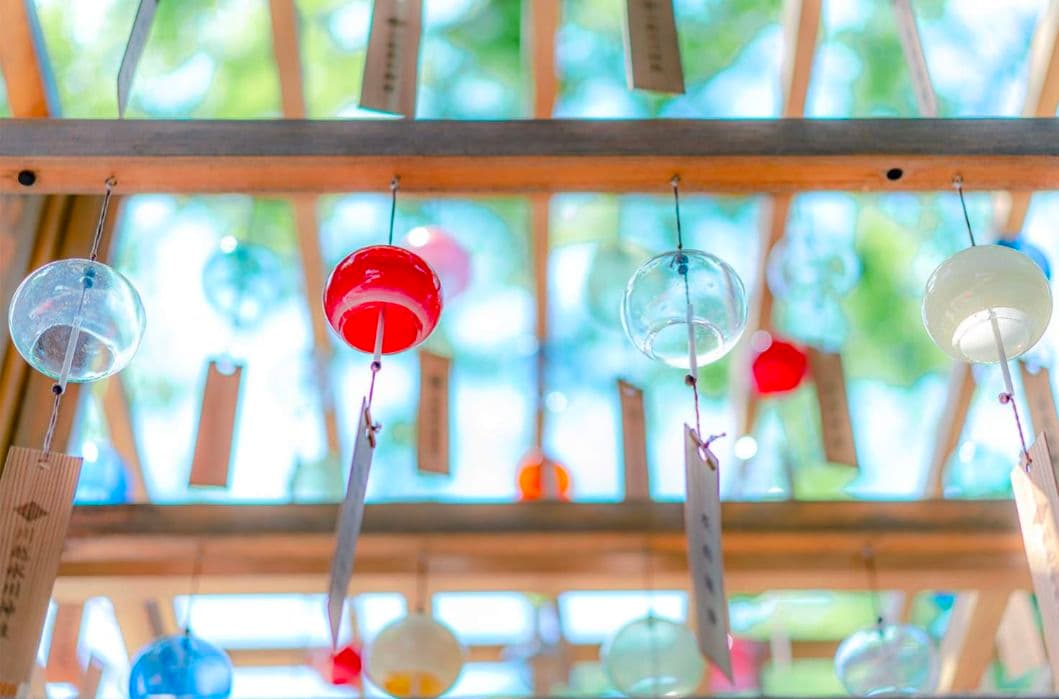 ソニー 単焦点レンズ Sonnar T* FE 55mm F1.8 ZA