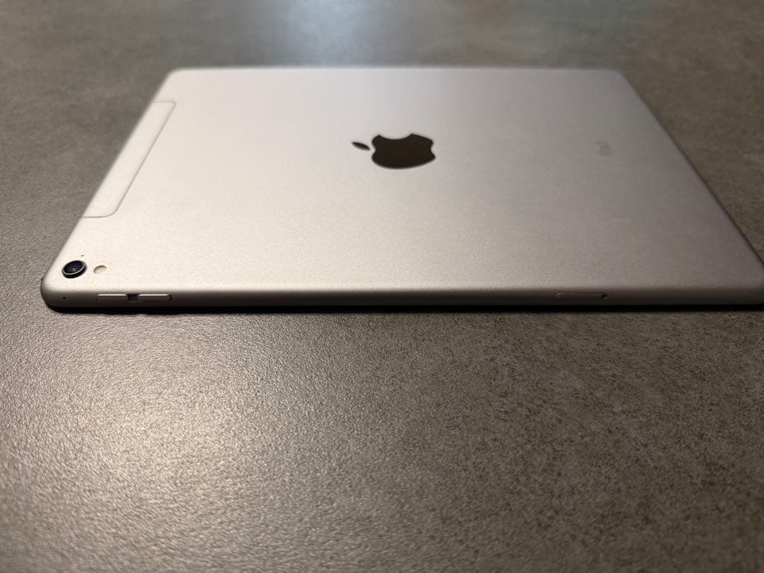 ☪*✩様 Apple iPad Pro9.7インチWi-Fi+Cellular