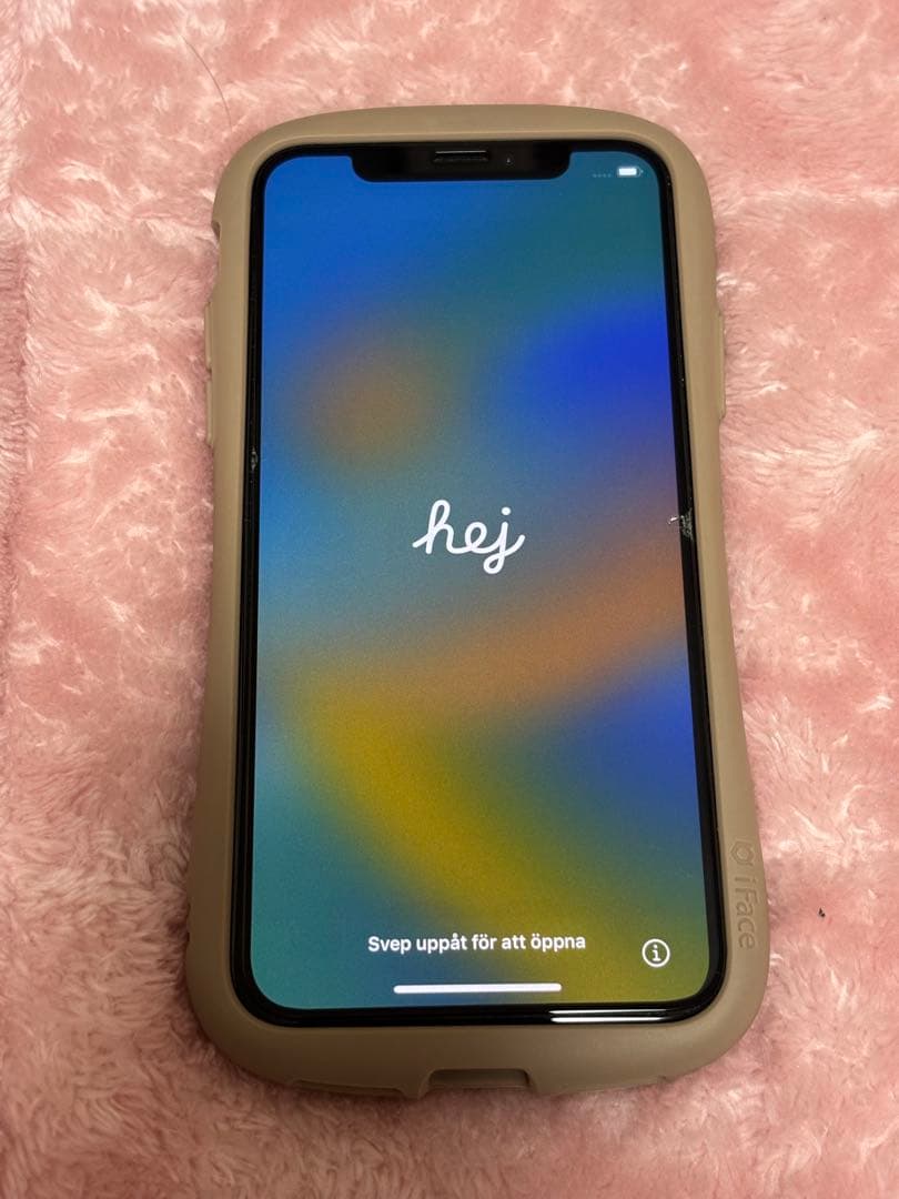 Apple iPhone X (10) 本体