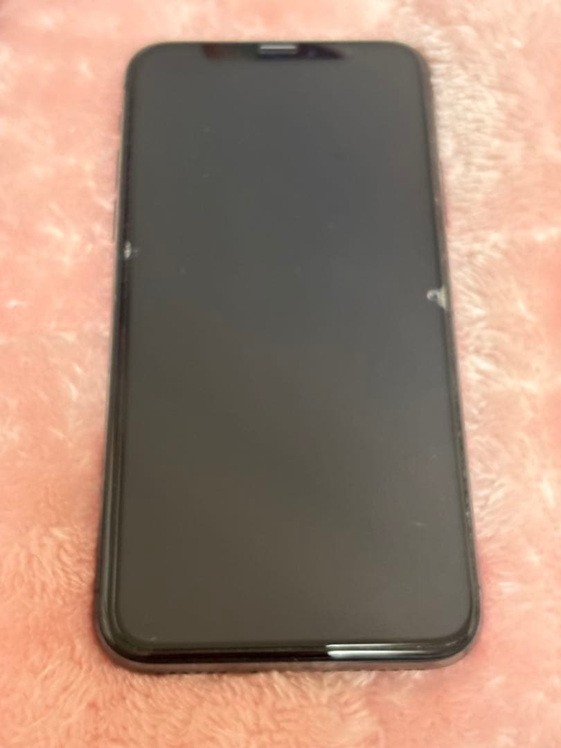 Apple iPhone X (10) 本体