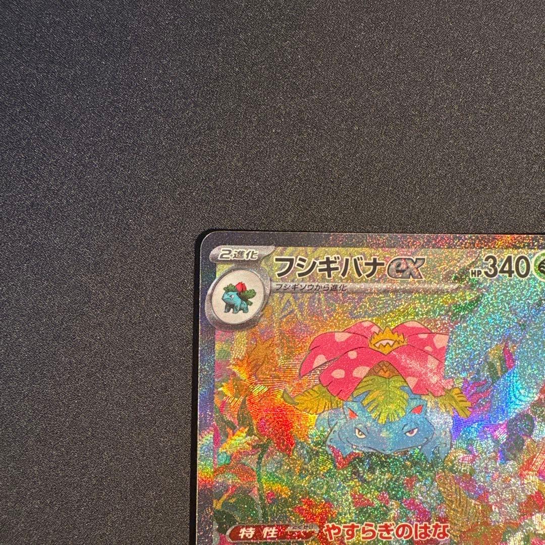 フシギバナ exsarセット