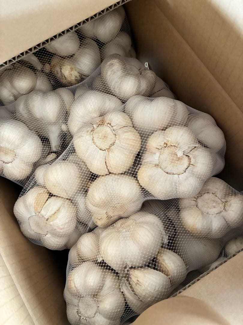 新物　青森県にんにく20Kg2L