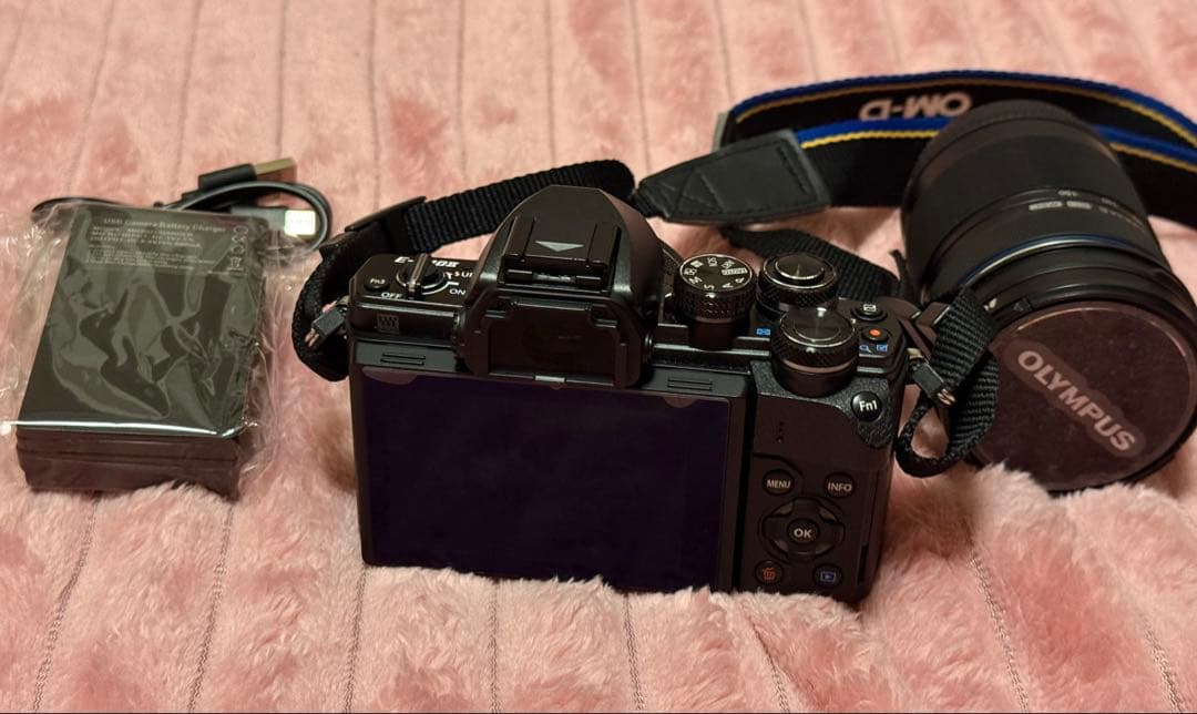 OLYMPUS OM-D E-M10 Mark II 一眼カメラ／レンズ付き