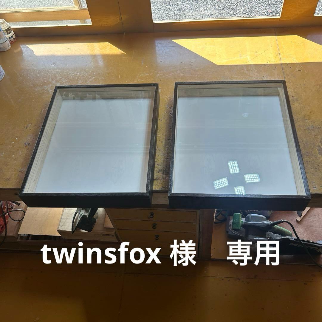 厚型大型標本箱　2箱