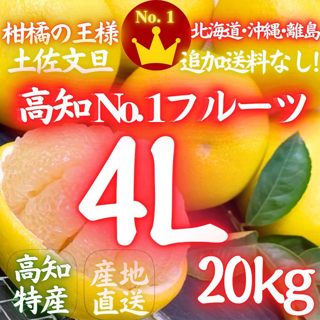 ④高知特産 露地栽培 土佐文旦 4L限定 文旦 約20kg 大玉 サイズ