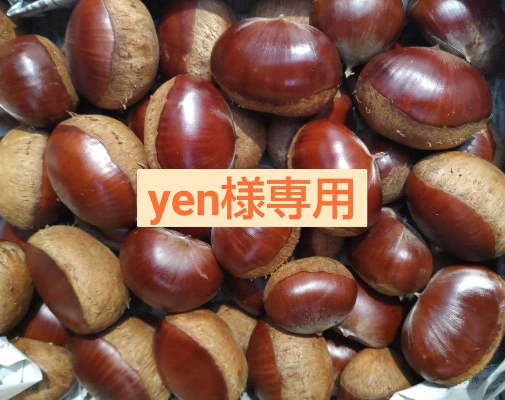 果物 yen