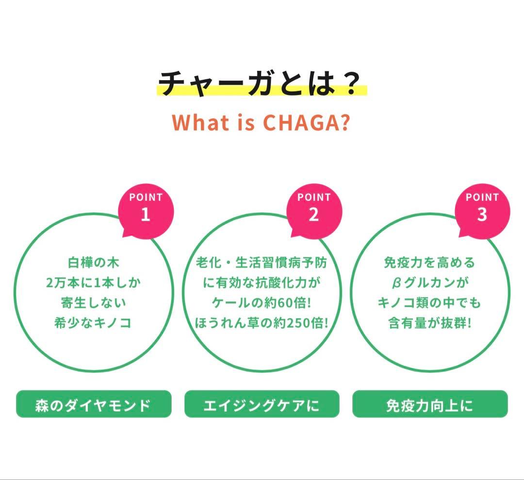 カバノアナタケ　チャーガ茶　【八幡平市産】640g