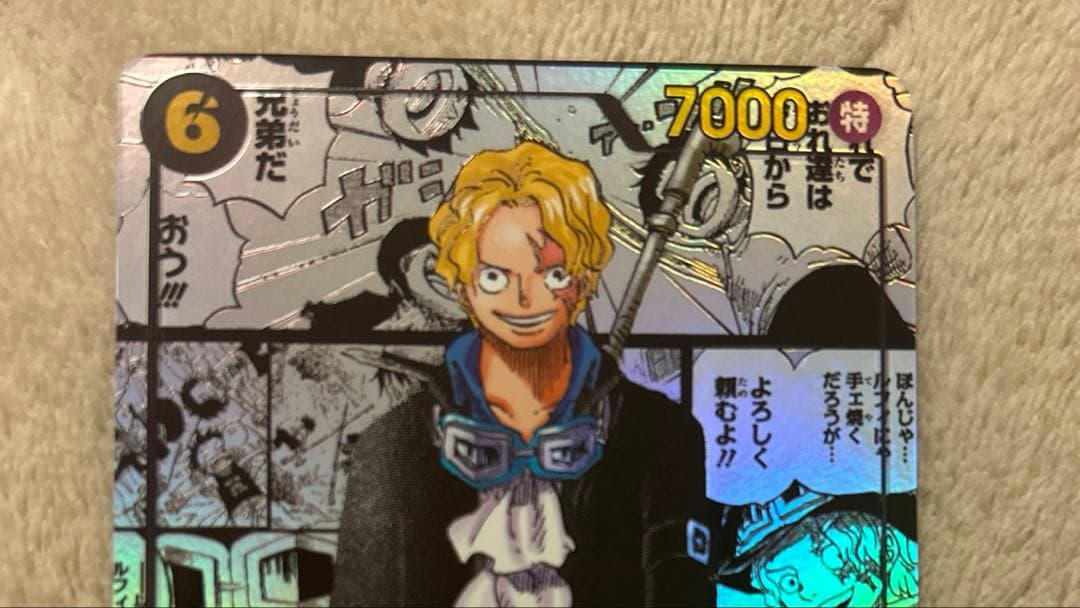 【美品】受け継がれる意志サボコミックパラレル