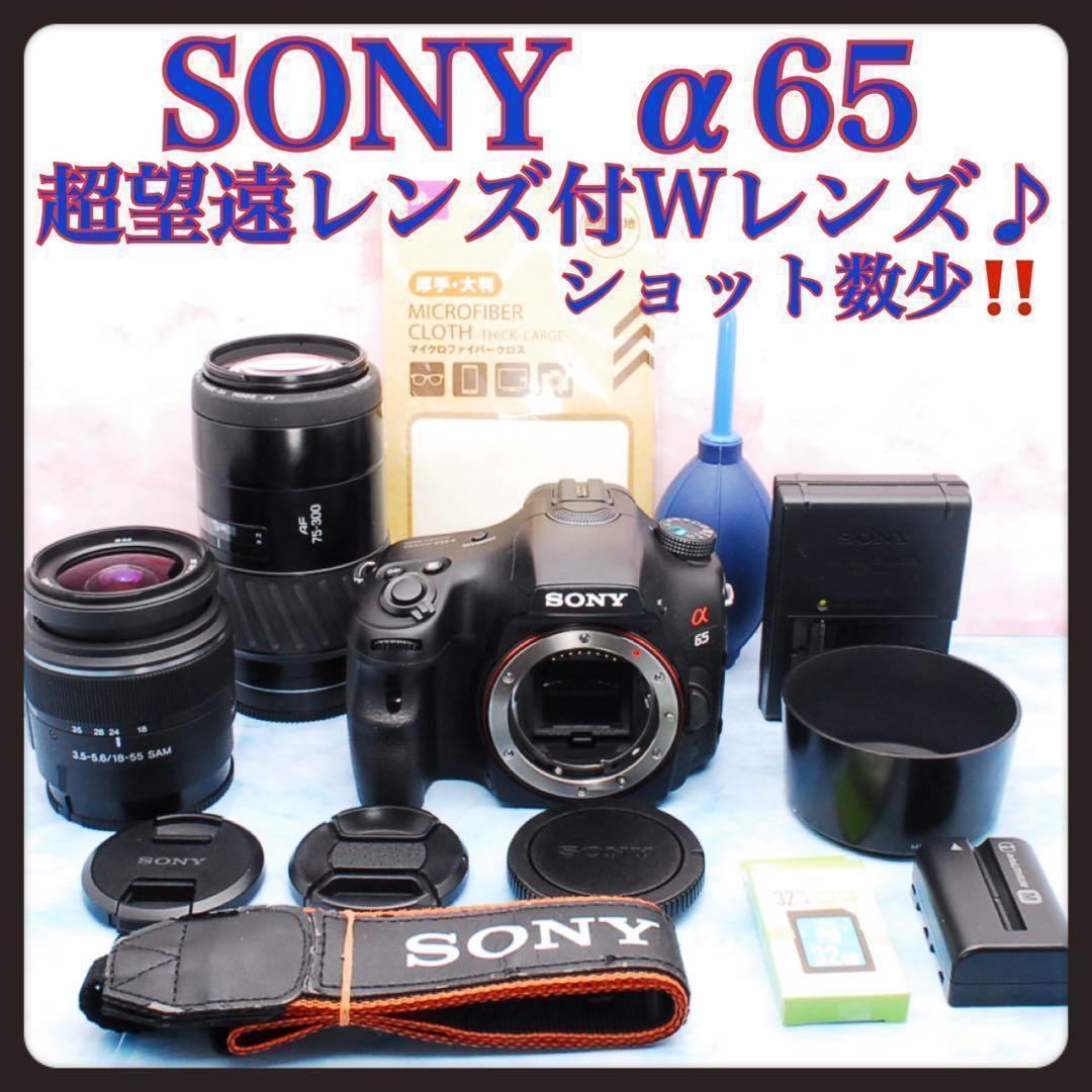 高速連写＆高画質★ソニー α65★一眼レフカメラ★超望遠レンズ付Wレンズ