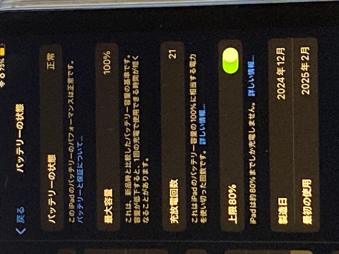 てっつ　 ipad mini 第 7 世代、アップルペンシルプロ