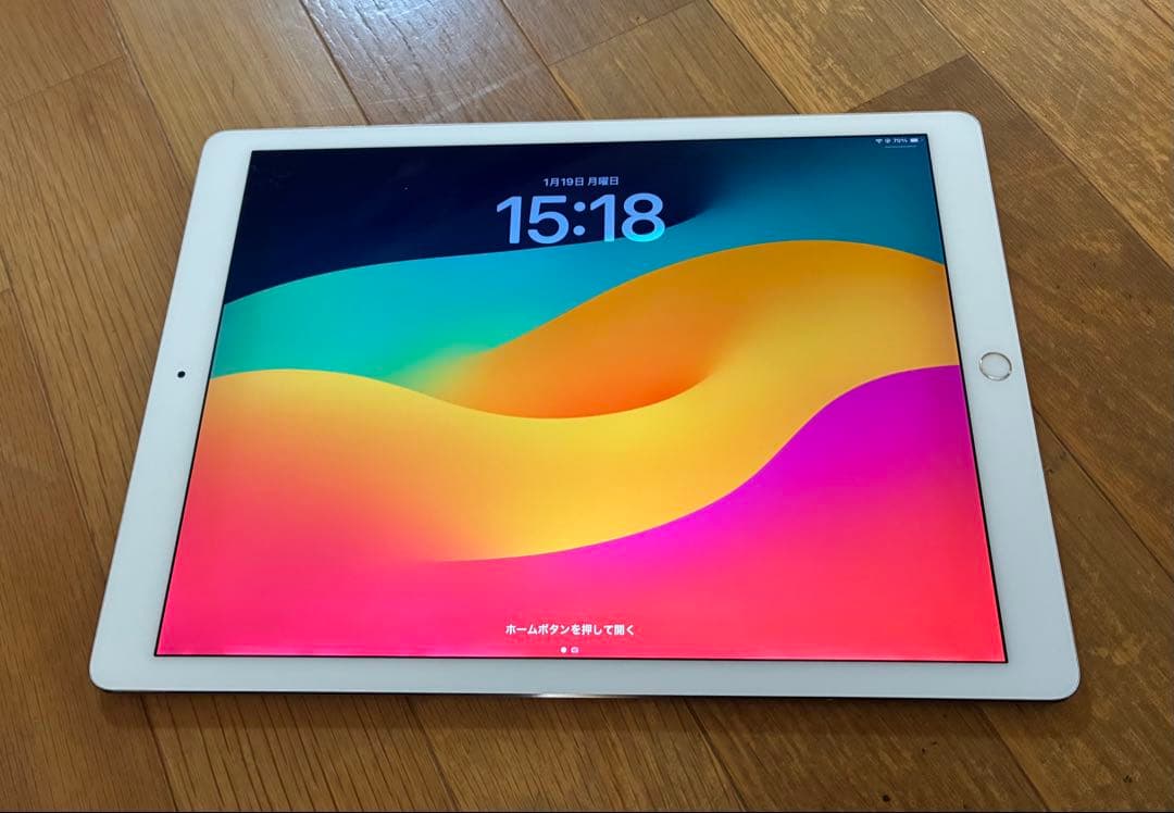 Apple iPad pro 第2世代 12.9インチ 64GB wifiモデル