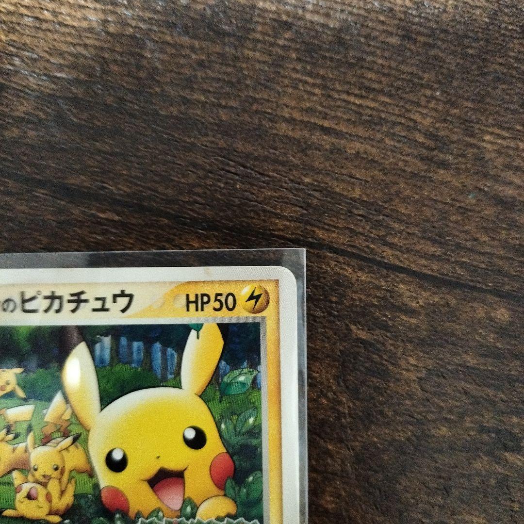 ポケパークのピカチュウ 043/PCG-P ピカチュウの森 2005