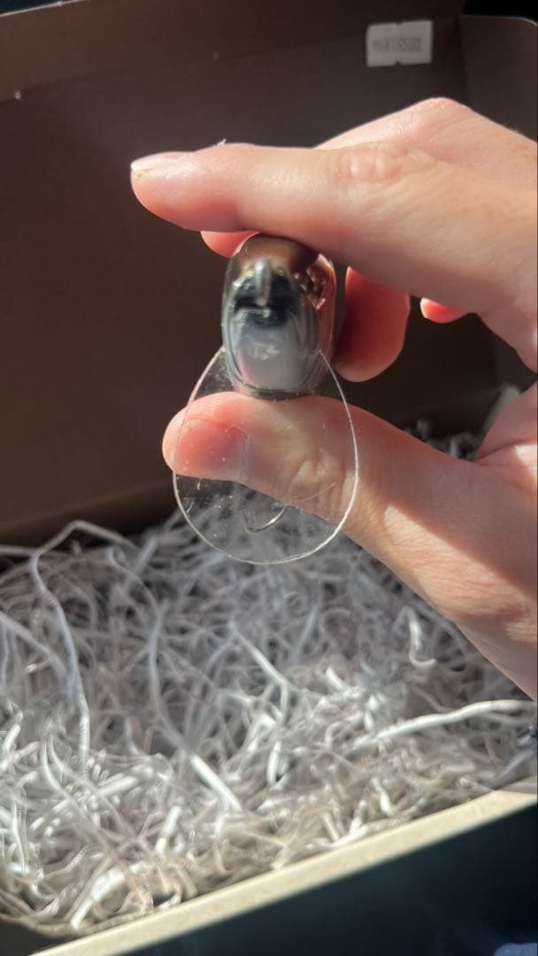 テ*ツ様 ワンベイツ　ウルトラ