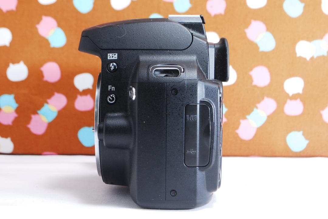 ✨ショット数2118回✨望遠レンズ ✨Nikon D60 レンズセット