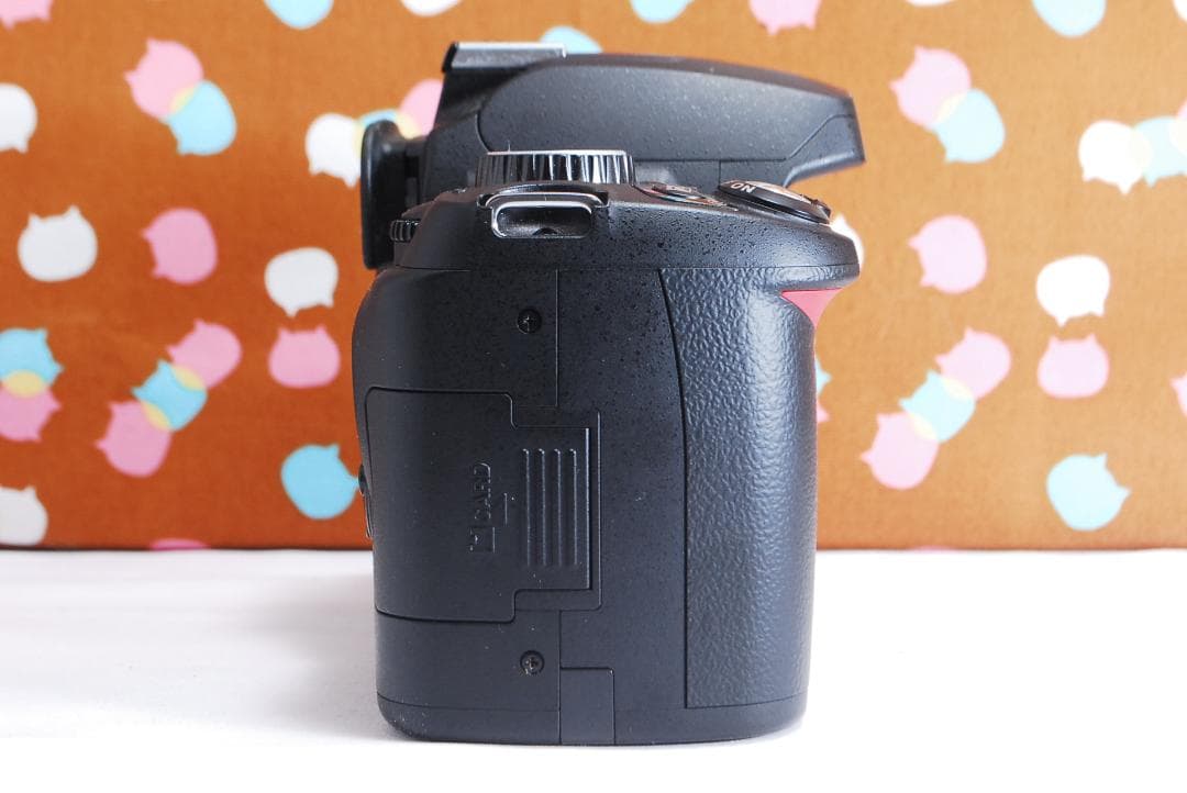 ✨ショット数2118回✨望遠レンズ ✨Nikon D60 レンズセット