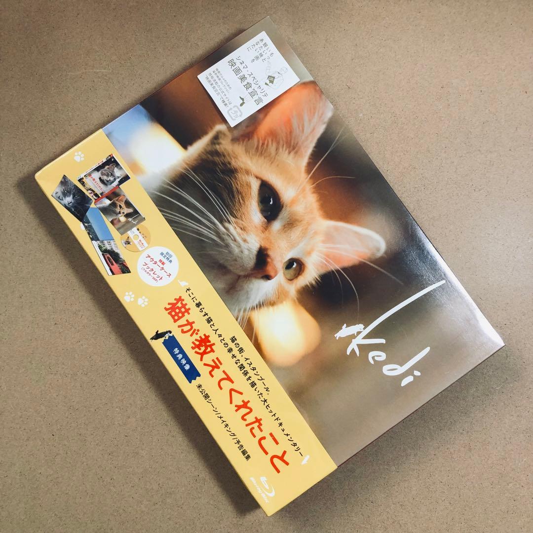 【廃盤】『猫が教えてくれたこと』 Blu-ray