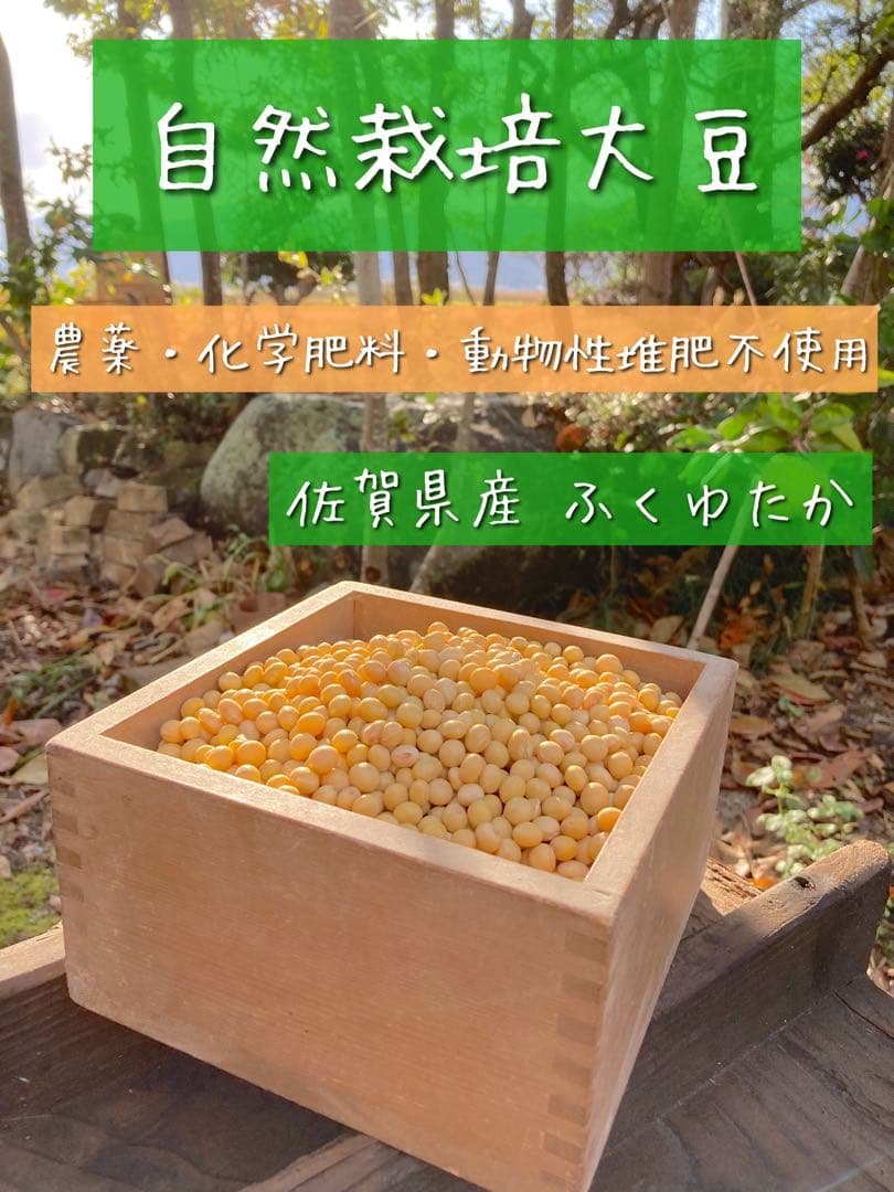 ❁⃘*.゜ニャンゴローさま専用❁⃘*.゜ 追加ご購入分