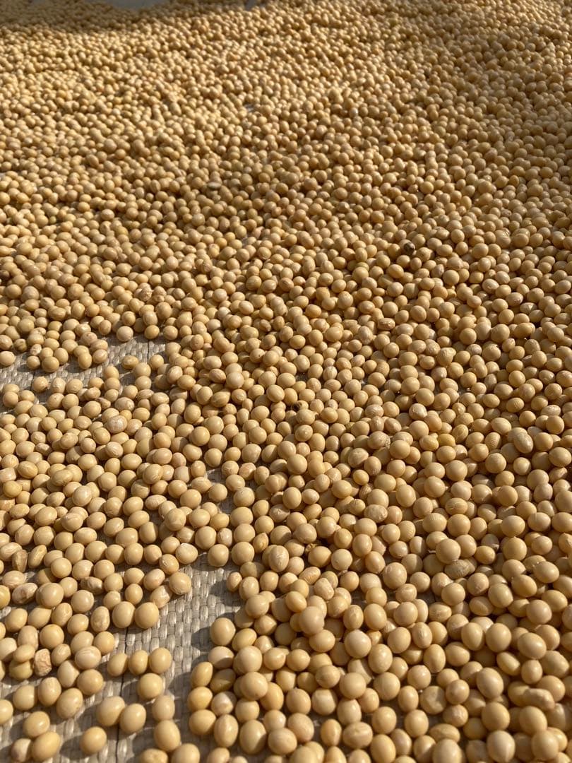 ❁⃘*.゜ニャンゴローさま専用❁⃘*.゜ 追加ご購入分