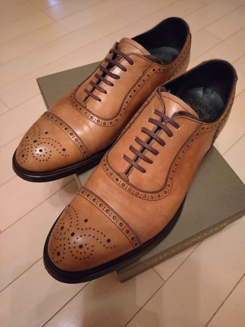 REGAL　シェットランドフォックス