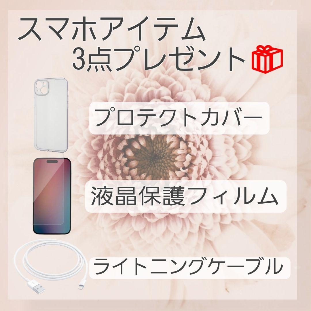 iPhone SE 2 128GB SIMフリー バッテリー新品 大容量