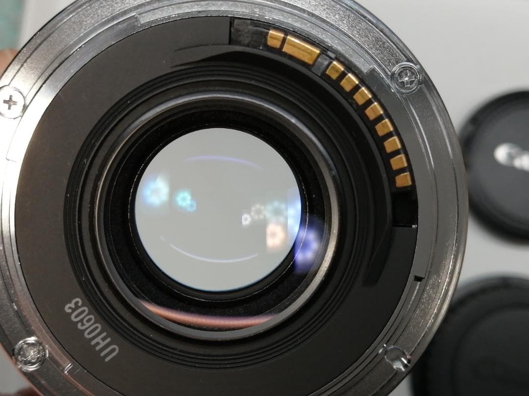 レンズ(単焦点) Canon Compact Macro EF 50mm F/2.5 #7910