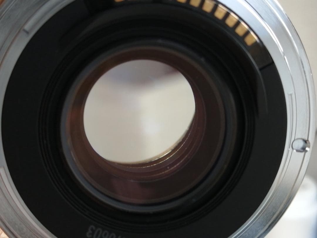 レンズ(単焦点) Canon Compact Macro EF 50mm F/2.5 #7910